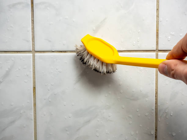 Best Mold Remediation  in Columbia, SC